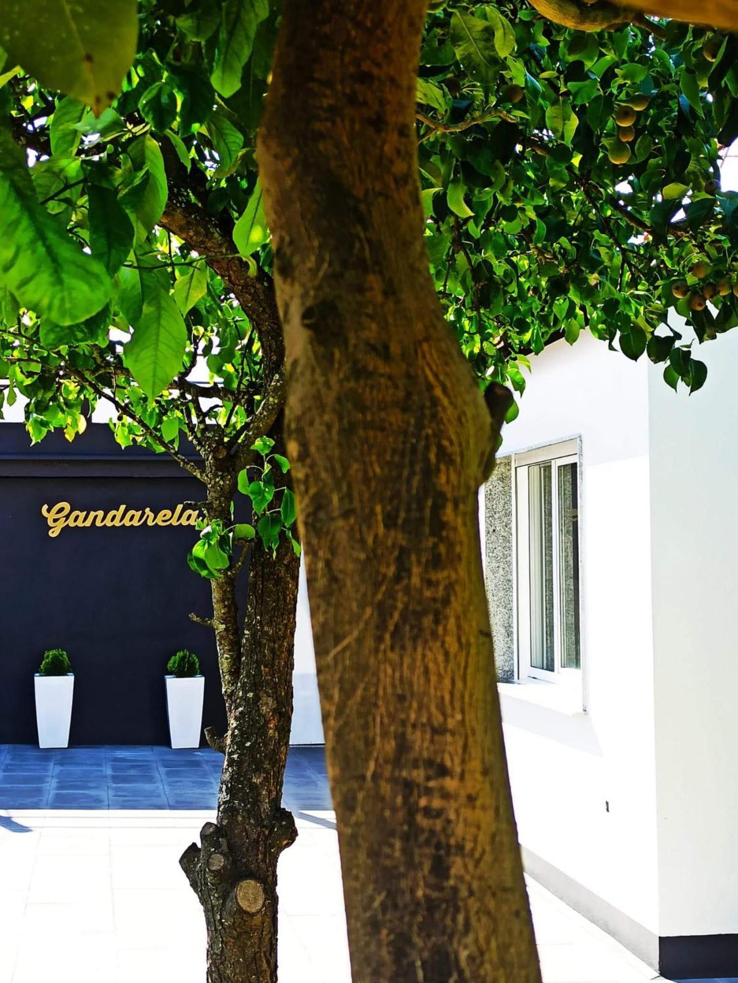 Apartamentos Vut Gandarela Sanxenxo Exterior photo